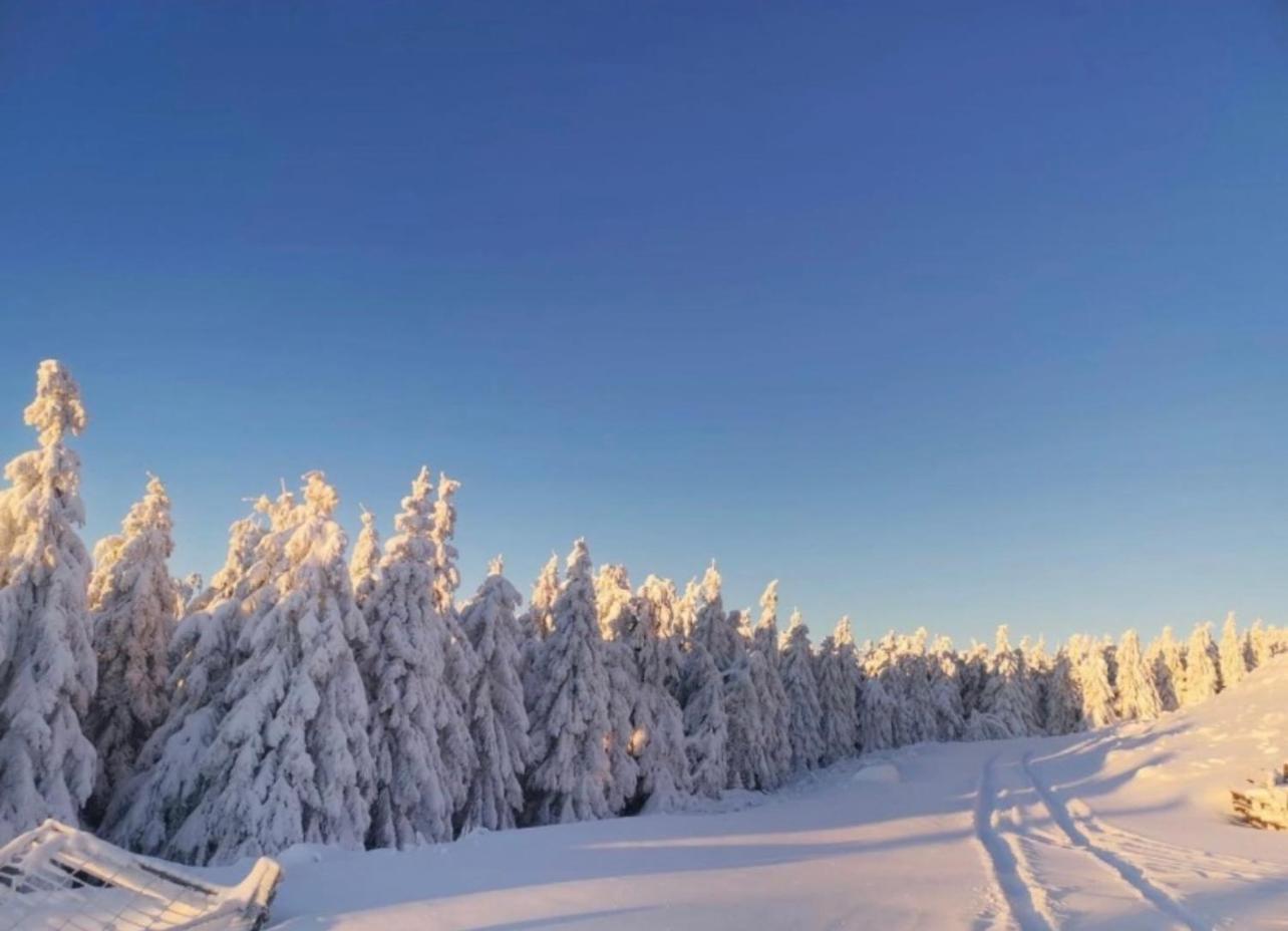 Ferienwohnung Tannhaeuser Braunlage Εξωτερικό φωτογραφία