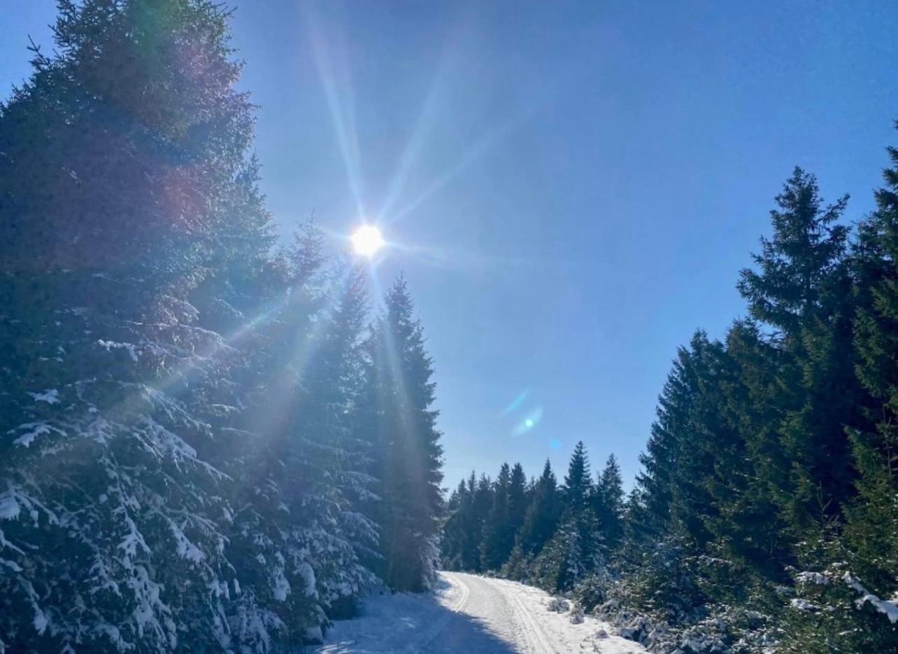 Ferienwohnung Tannhaeuser Braunlage Εξωτερικό φωτογραφία